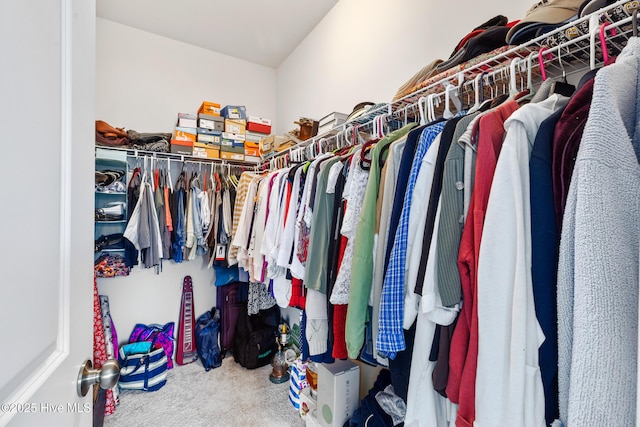walk in closet featuring carpet floors