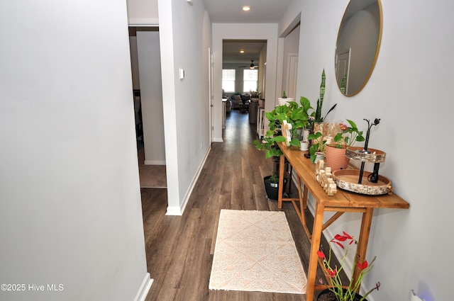 hall featuring baseboards and dark wood finished floors