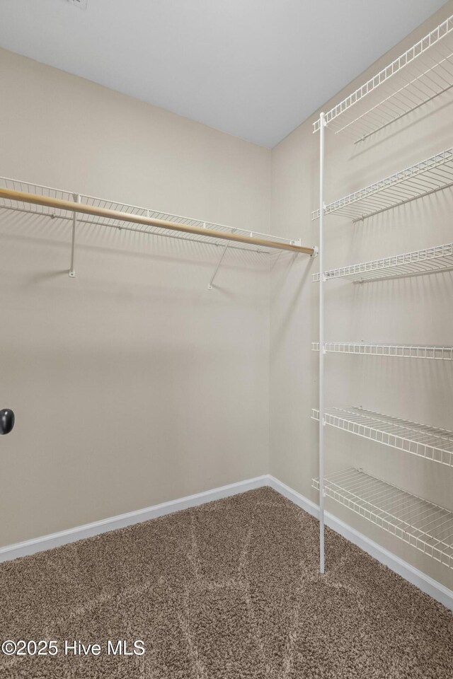 spacious closet with carpet flooring