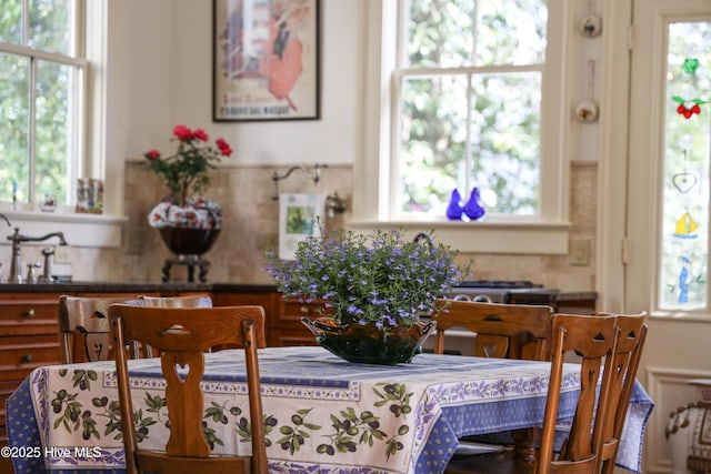 dining room featuring a healthy amount of sunlight