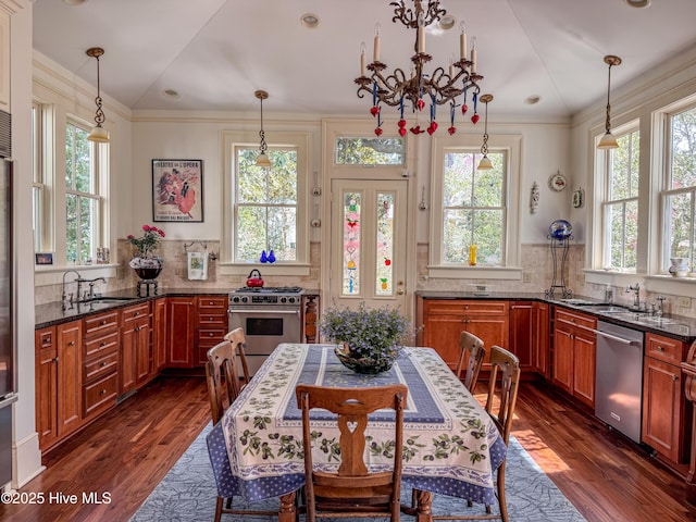 kitchen featuring dark wood-style flooring, a healthy amount of sunlight, stainless steel appliances, and a sink