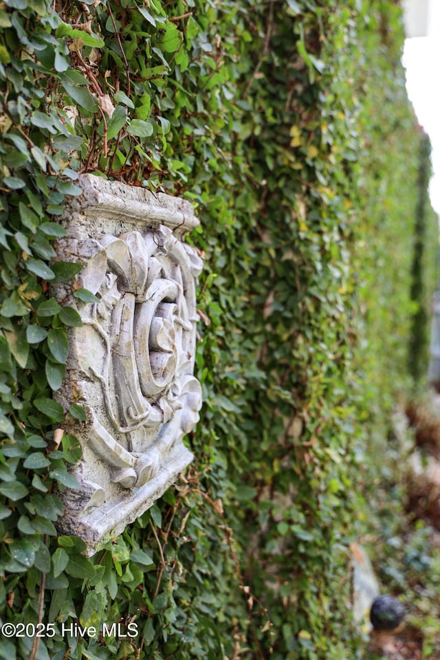 view of details