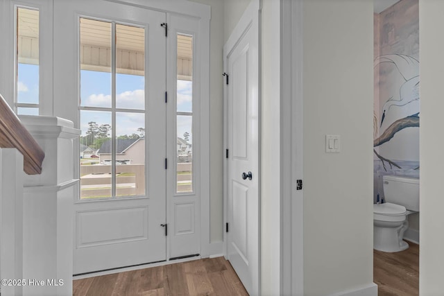 entryway featuring baseboards, wood finished floors, and a wealth of natural light