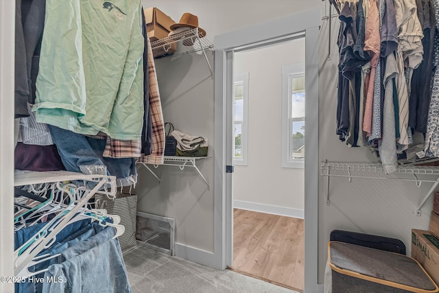 spacious closet with visible vents