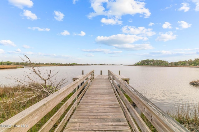 dock area featuring a water view