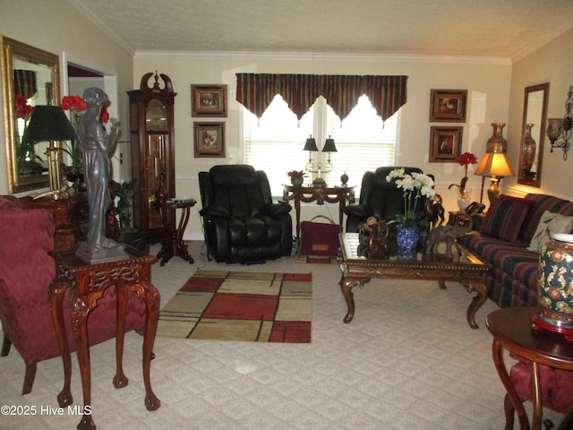 3550 Grainger Station Rd, Grifton, NC 28530 - carpeted living room featuring crown molding