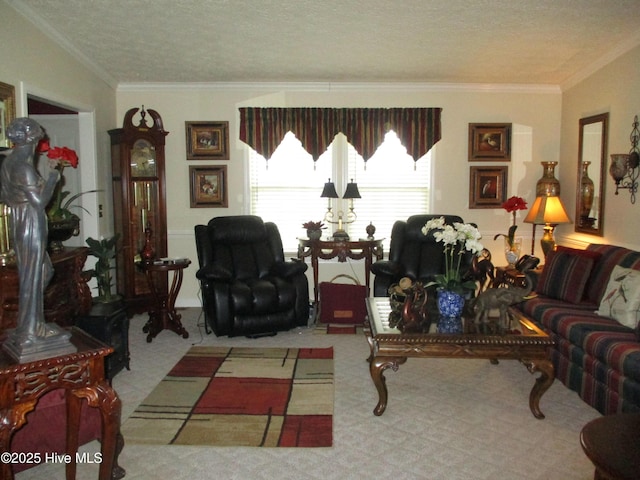 3550 Grainger Station Rd, Grifton, NC 28530 - living room featuring ornamental molding, a textured ceiling, and carpet
