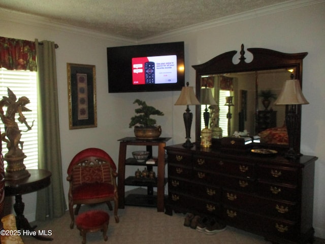 3550 Grainger Station Rd, Grifton, NC 28530 - living area with ornamental molding, carpet, and a textured ceiling