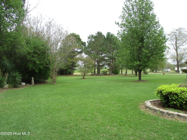 3550 Grainger Station Rd, Grifton, NC 28530 - view of green lawn