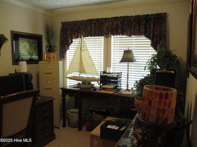 3550 Grainger Station Rd, Grifton, NC 28530 - carpeted office space featuring crown molding