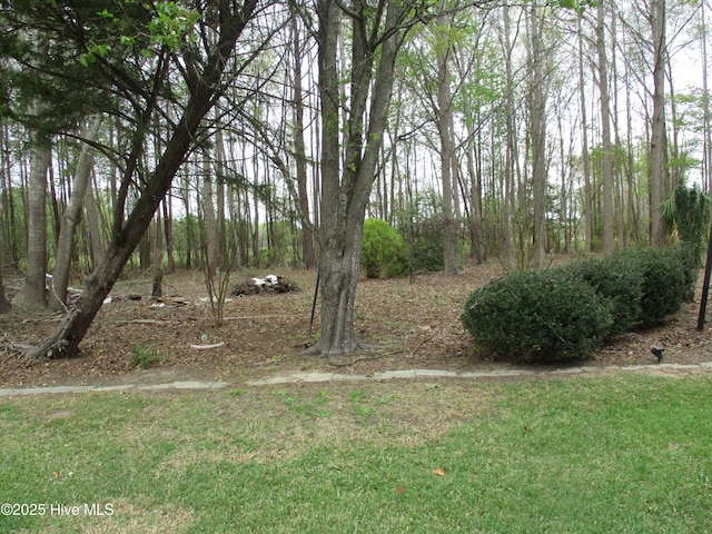 3550 Grainger Station Rd, Grifton, NC 28530 - view of grassy yard