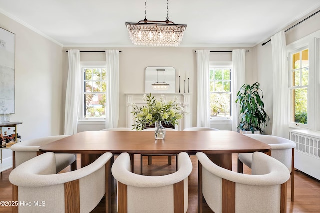 dining area with radiator heating unit, an inviting chandelier, ornamental molding, and wood finished floors
