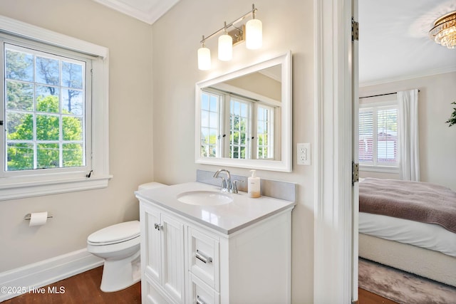 bathroom featuring toilet, wood finished floors, vanity, and a wealth of natural light
