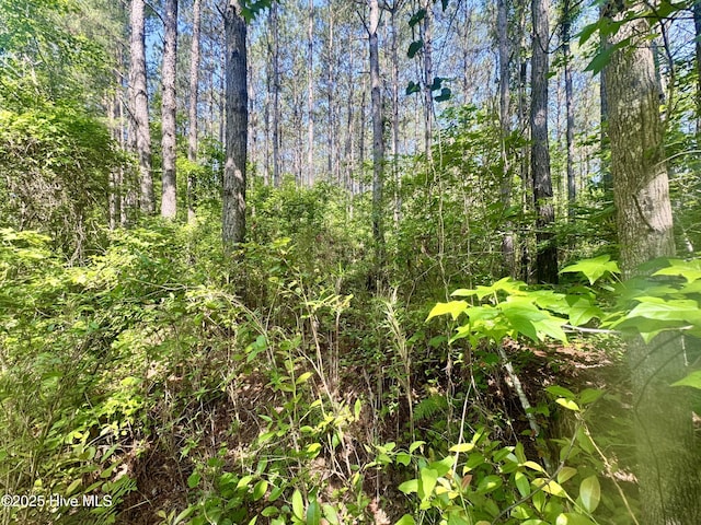 3170 Lee Landing Rd, New Bern, NC 28560