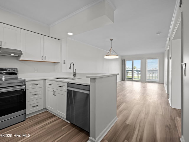 kitchen featuring stainless steel appliances, a sink, under cabinet range hood, a peninsula, and light wood finished floors
