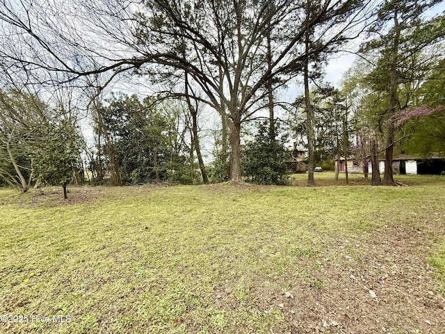 610 S Main St, Roxobel, NC 27872 - view of yard