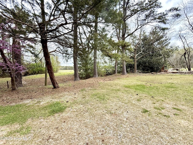 610 S Main St, Roxobel, NC 27872 - view of yard