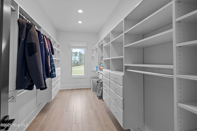 546 S Brightleaf Dr, Minnesott Beach, NC 28510 - walk in closet featuring light wood finished floors