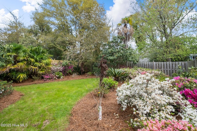 211 S 2nd St, Wilmington, NC 28401 - view of yard