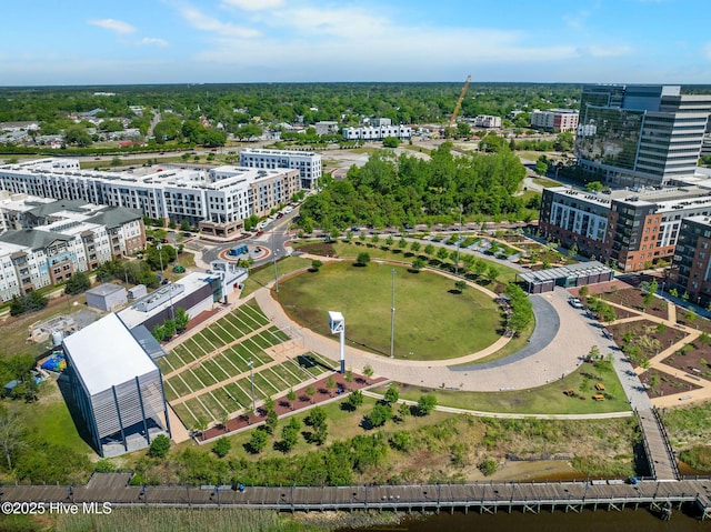 bird's eye view