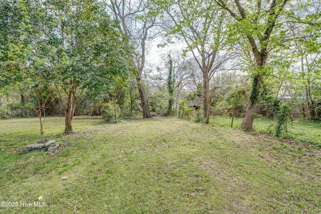 223 E Martin Luther King Jr Dr, Washington, NC 27889 - view of yard