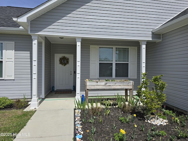entrance to property with a shingled roof and covered porch