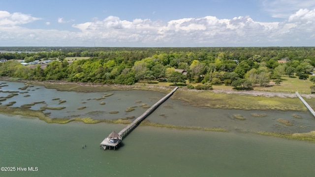 130 Harbour Dr, Hubert, NC 28539 - bird's eye view of a forest and a nearby body of water