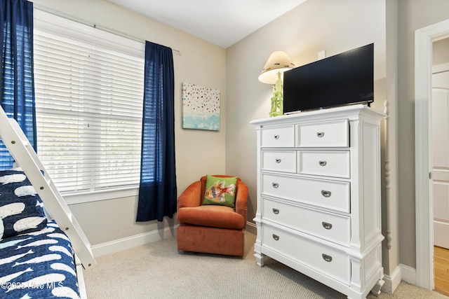 bedroom with baseboards and carpet floors