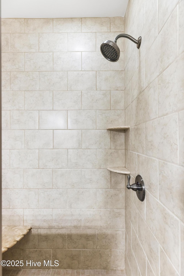 interior details featuring a tile shower