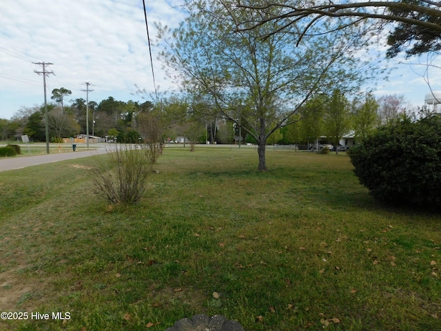 17261 Harvell Ln, Laurinburg, NC 28352 - view of grassy yard
