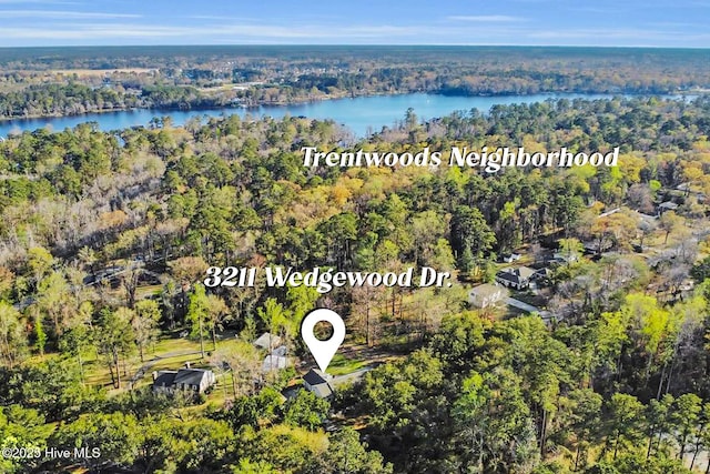 birds eye view of property with a wooded view and a water view