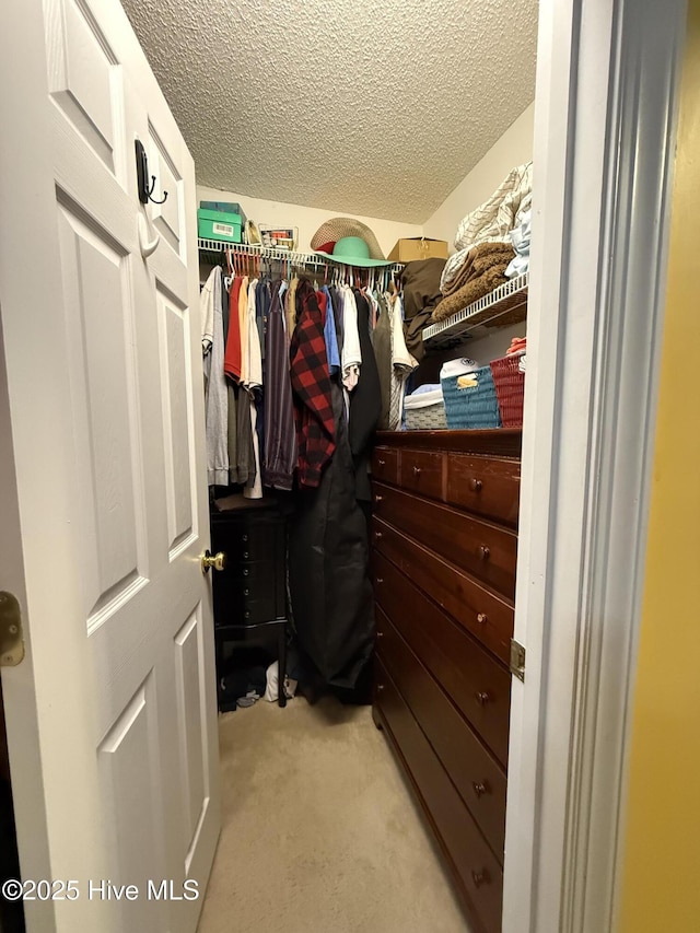 spacious closet featuring light colored carpet