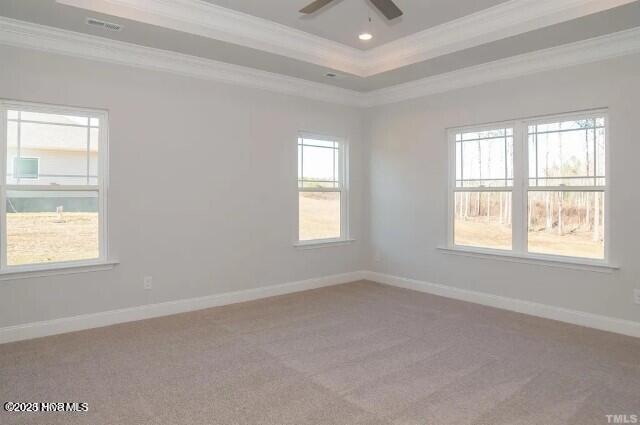 spare room featuring a raised ceiling, ornamental molding, and carpet flooring