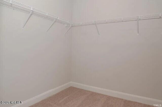 spacious closet featuring light colored carpet