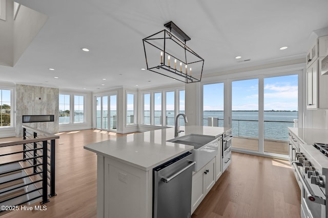 kitchen with a water view, appliances with stainless steel finishes, light countertops, and light wood-type flooring