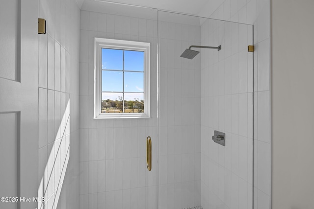 room details featuring a stall shower