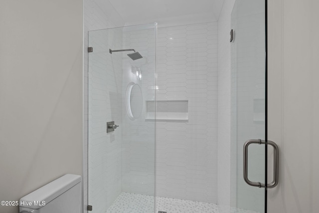 full bathroom featuring a shower stall and toilet