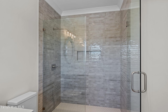 bathroom featuring a shower stall and toilet