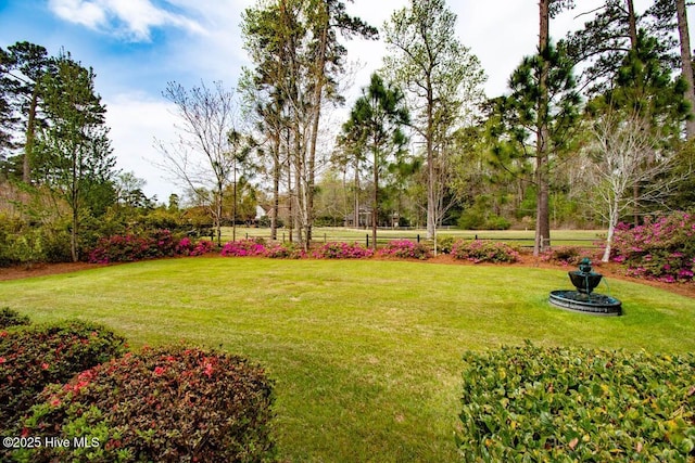 511 Pine Valley Dr, Morehead City, NC 28557 - view of green lawn