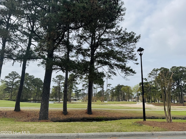 511 Pine Valley Dr, Morehead City, NC 28557 - view of home's community featuring a lawn