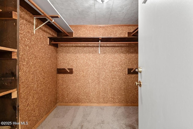 walk in closet featuring carpet