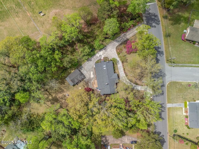 drone / aerial view
