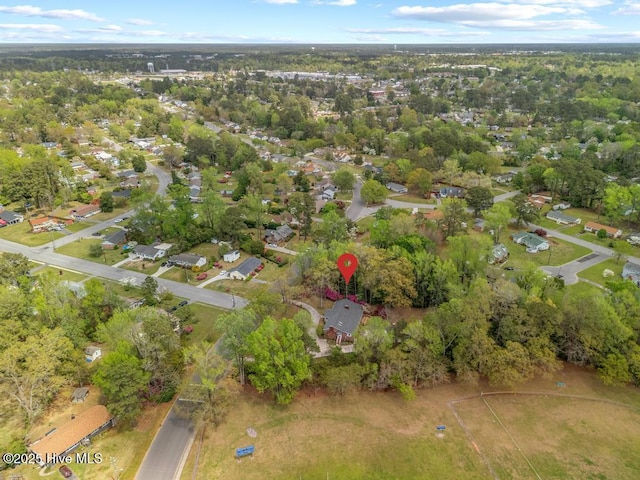 drone / aerial view