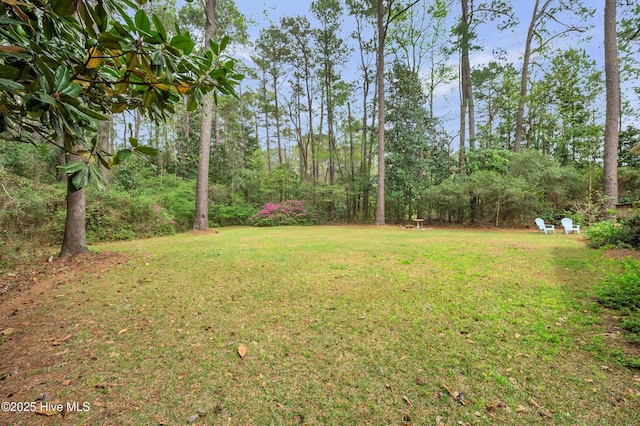 view of grassy yard