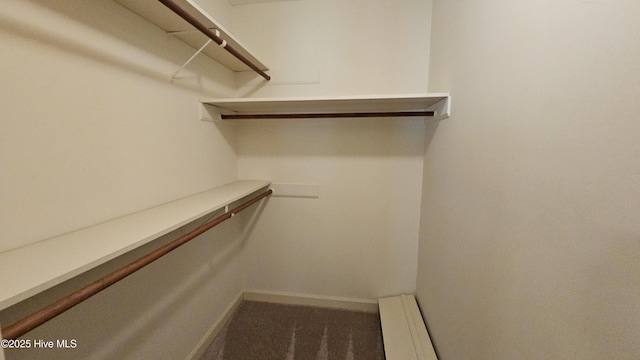 112 Reynard Path, Clinton, NC 28328 - walk in closet with carpet floors