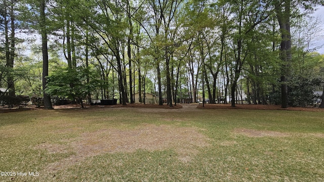 112 Reynard Path, Clinton, NC 28328 - view of yard