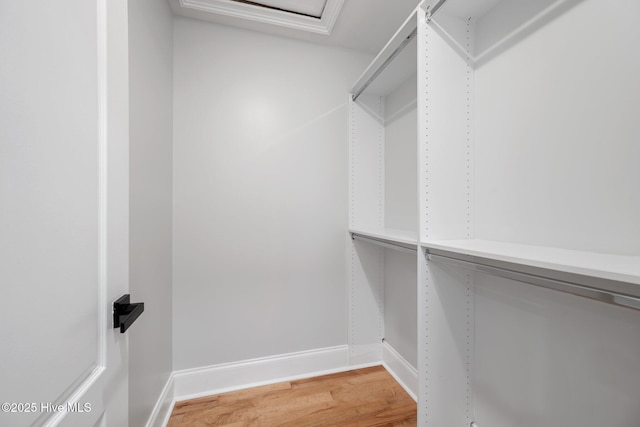 walk in closet with light wood-type flooring