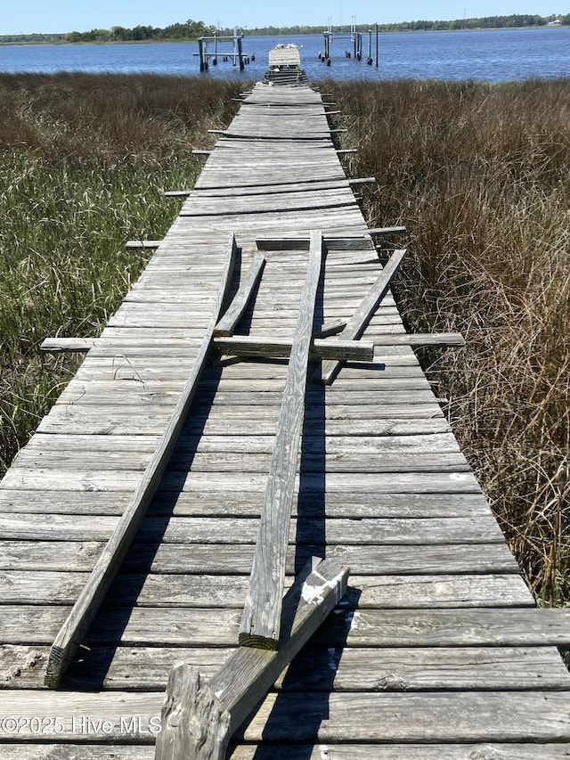 dock area with a water view