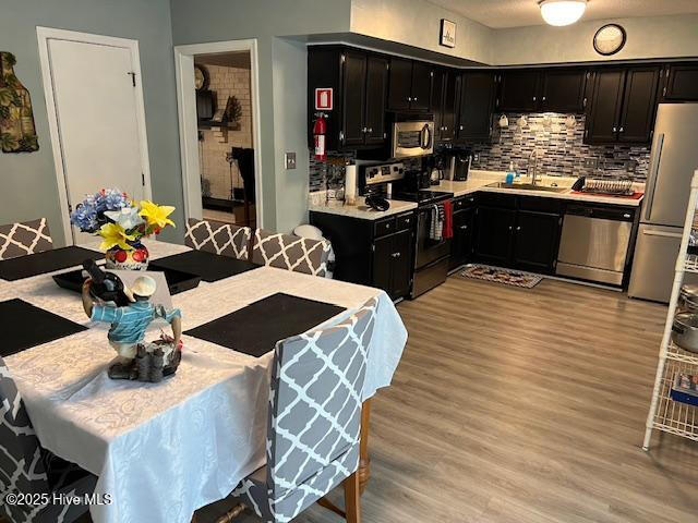kitchen featuring a sink, light wood finished floors, tasteful backsplash, dark cabinetry, and appliances with stainless steel finishes