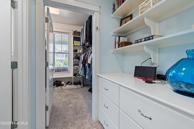 2821 Harborside Way, Southport, NC 28461 - spacious closet with light colored carpet